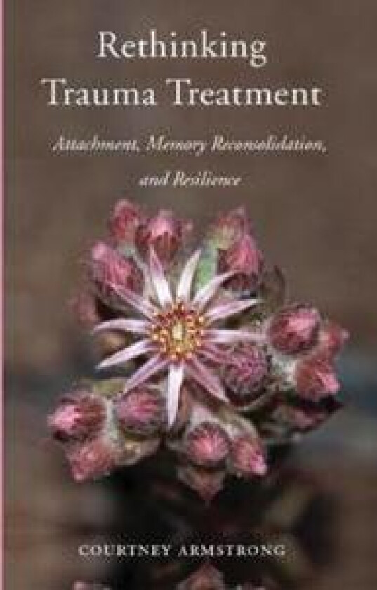 Rethinking Trauma Treatment
