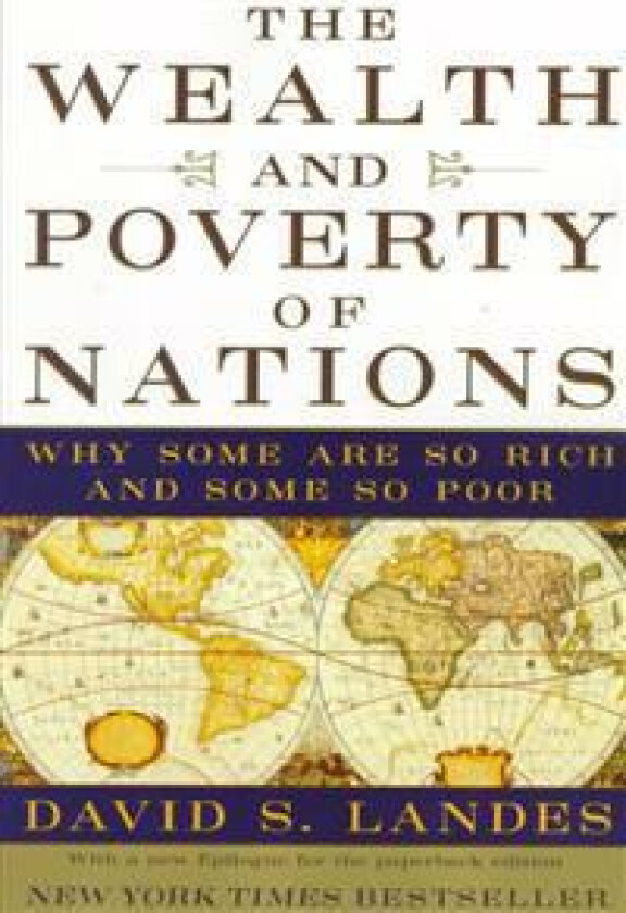 The Wealth and Poverty of Nations: Why Some Are So Rich and Some So Poor