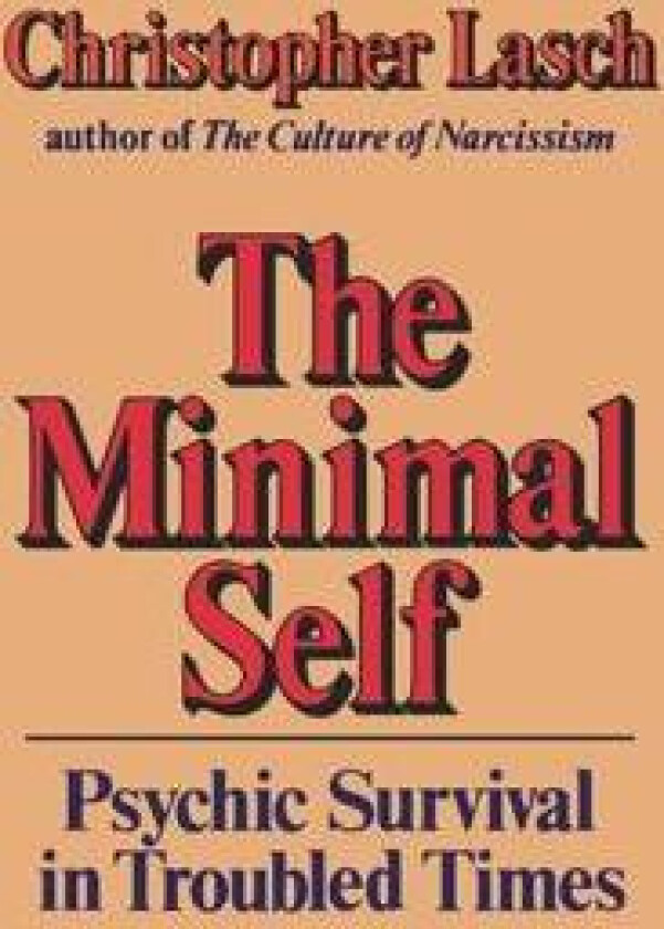 The Minimal Self