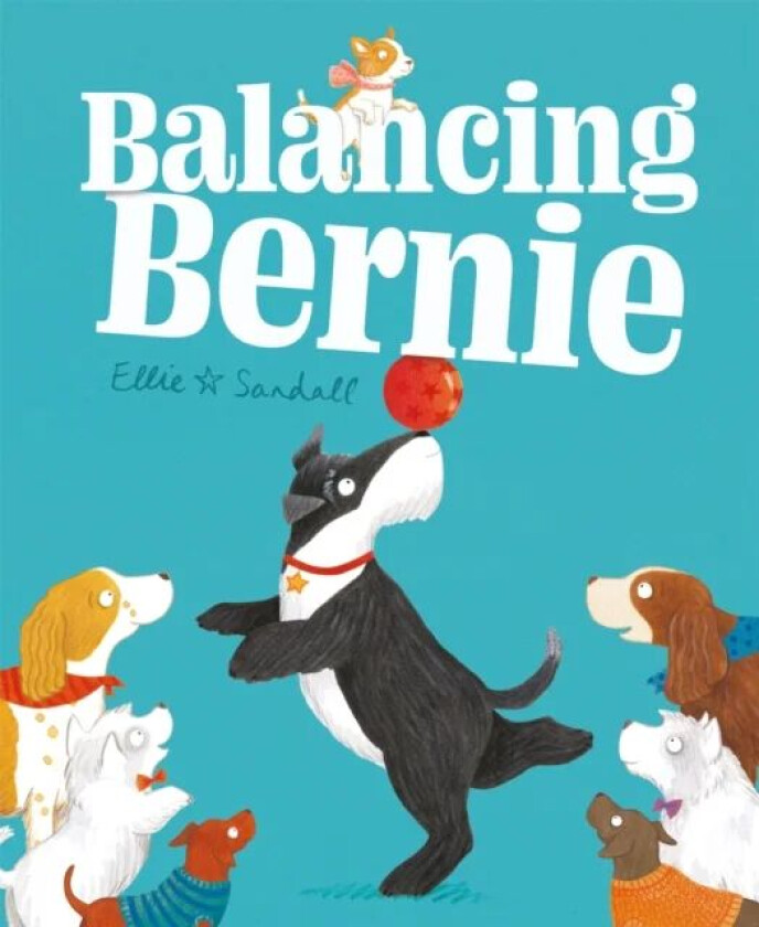 Balancing Bernie av Ellie Sandall