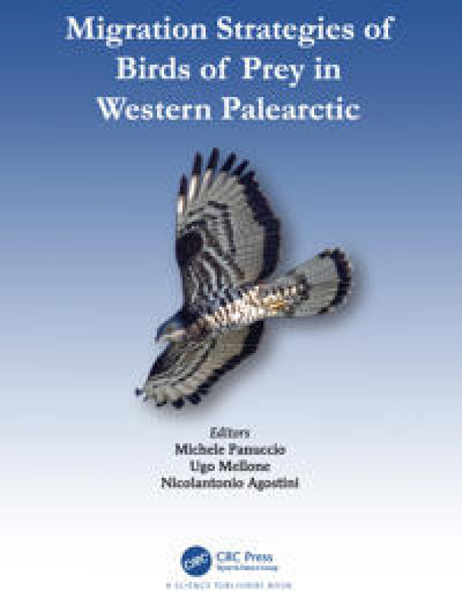 Migration Strategies of Birds of Prey in Western Palearctic