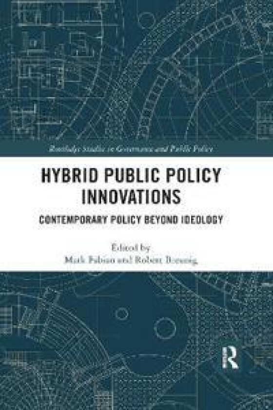 Hybrid Public Policy Innovations