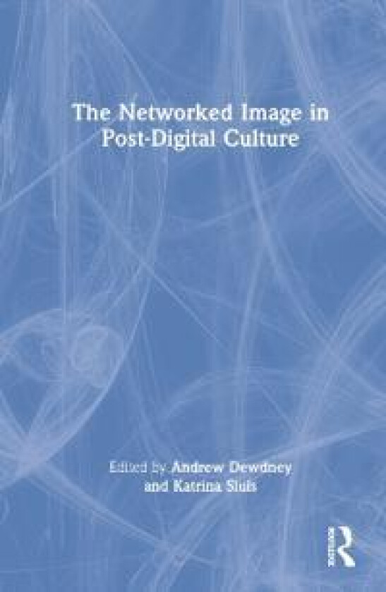 The Networked Image in Post-Digital Culture