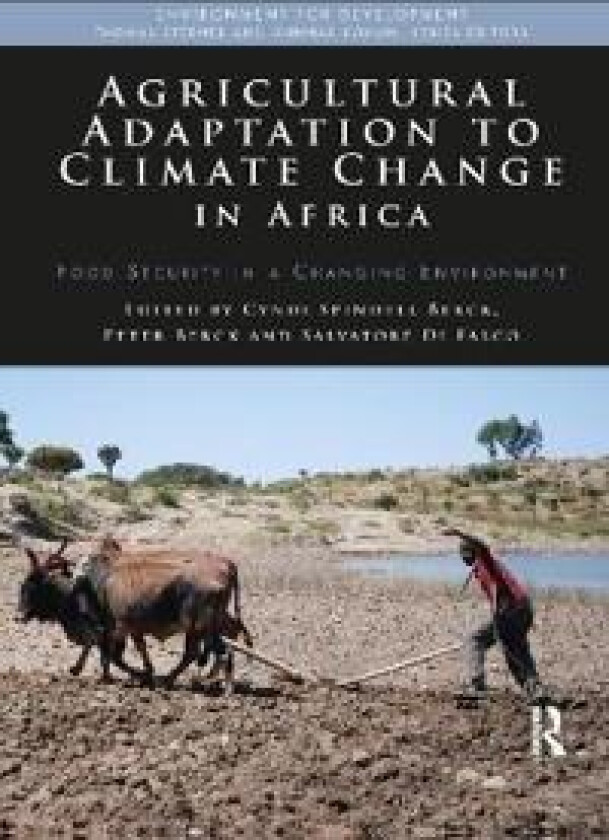 Agricultural Adaptation to Climate Change in Africa