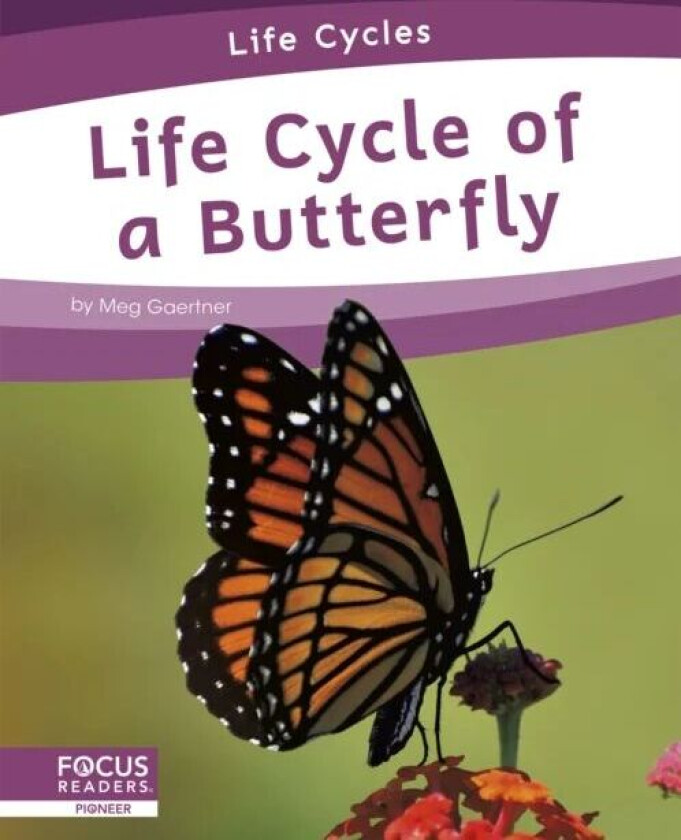 Life Cycles: Life Cycle of a Butterfly av Meg Gaertner