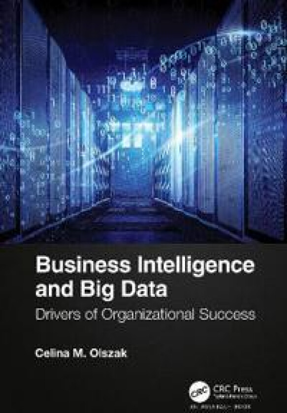 Business Intelligence and Big Data