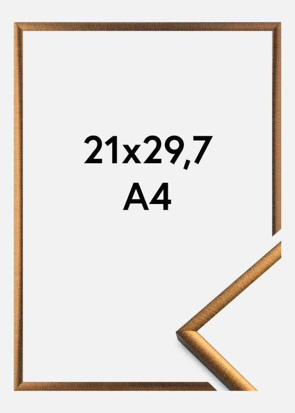Ramme New Lifestyle Bronse 21x29,7 Cm (A4)