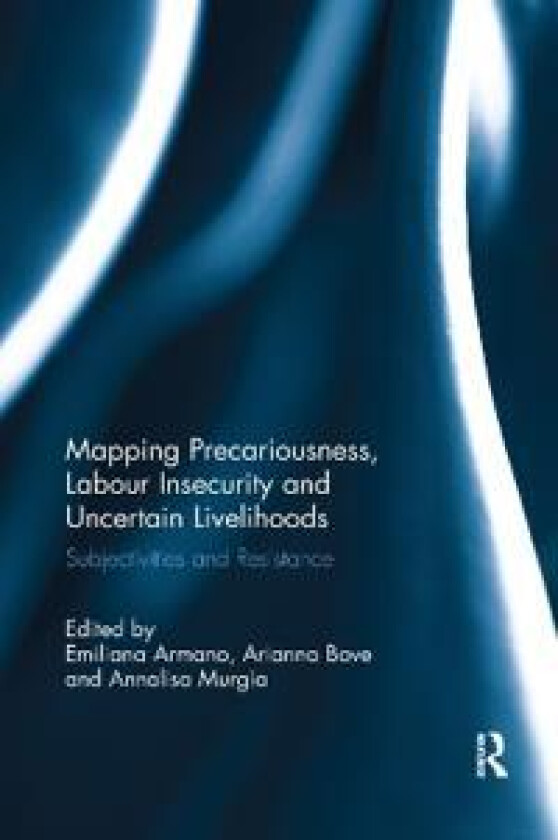 Mapping Precariousness, Labour Insecurity and Uncertain Livelihoods