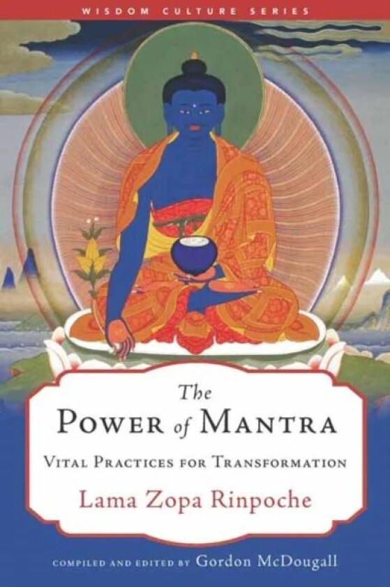 The Power of Mantra av Lama Zopa Rinpoche