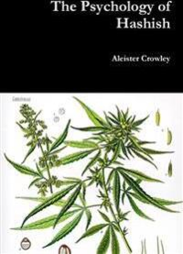 The Psychology of Hashish