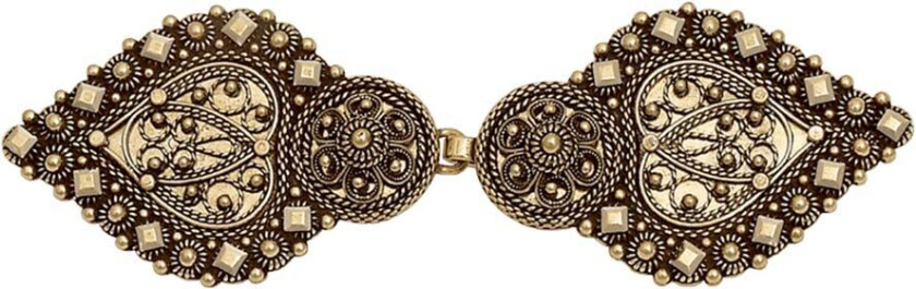 Jakkespenne Telemark i 830 antikkforgylt sølv