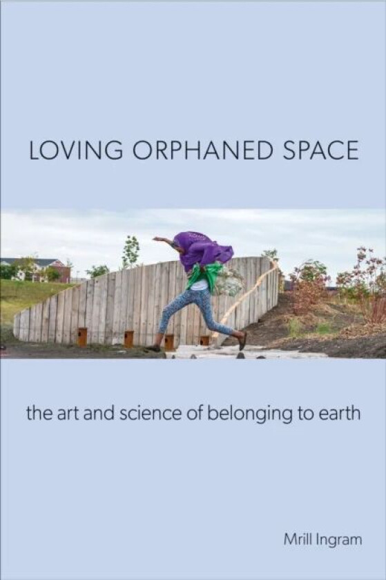 Loving Orphaned Space av Mrill Ingram