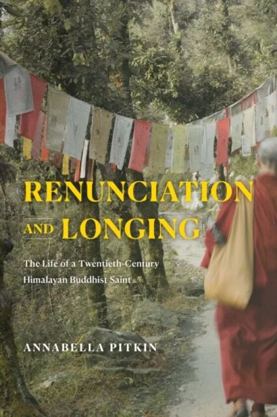 Renunciation and Longing av Annabella Pitkin