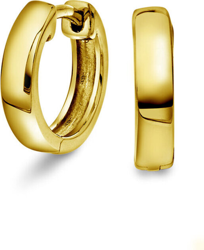 , Øreringer i 925 forgylt sølv