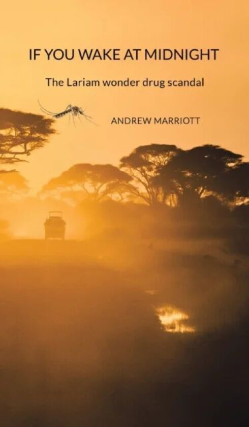 If You Wake at Midnight av Andrew Marriott