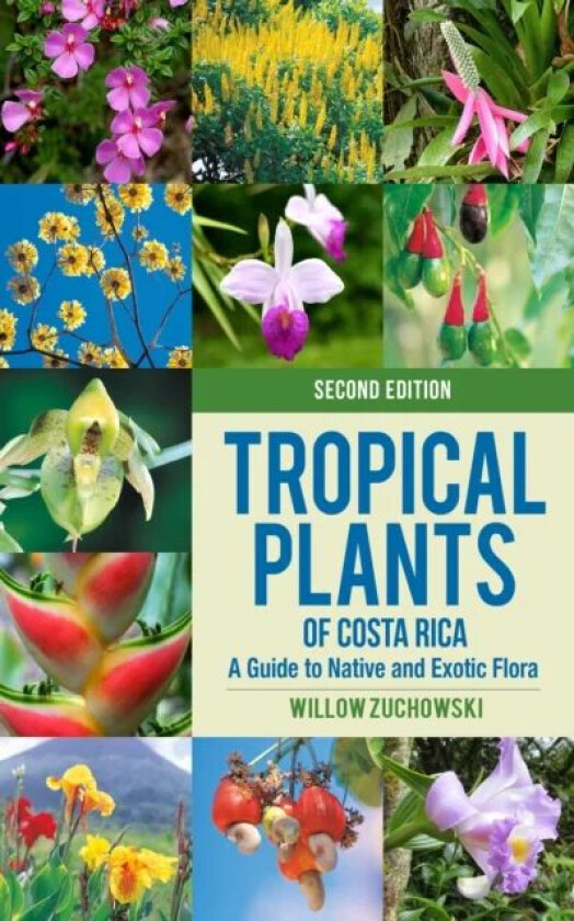 Tropical Plants of Costa Rica av Willow Zuchowski