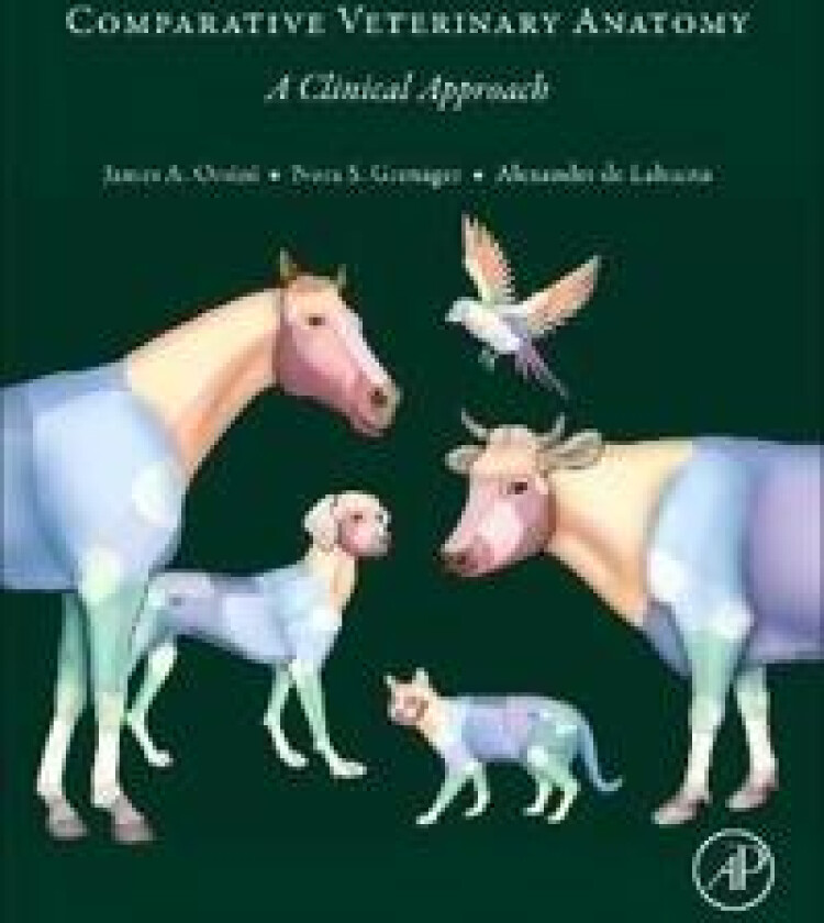 Comparative Veterinary Anatomy