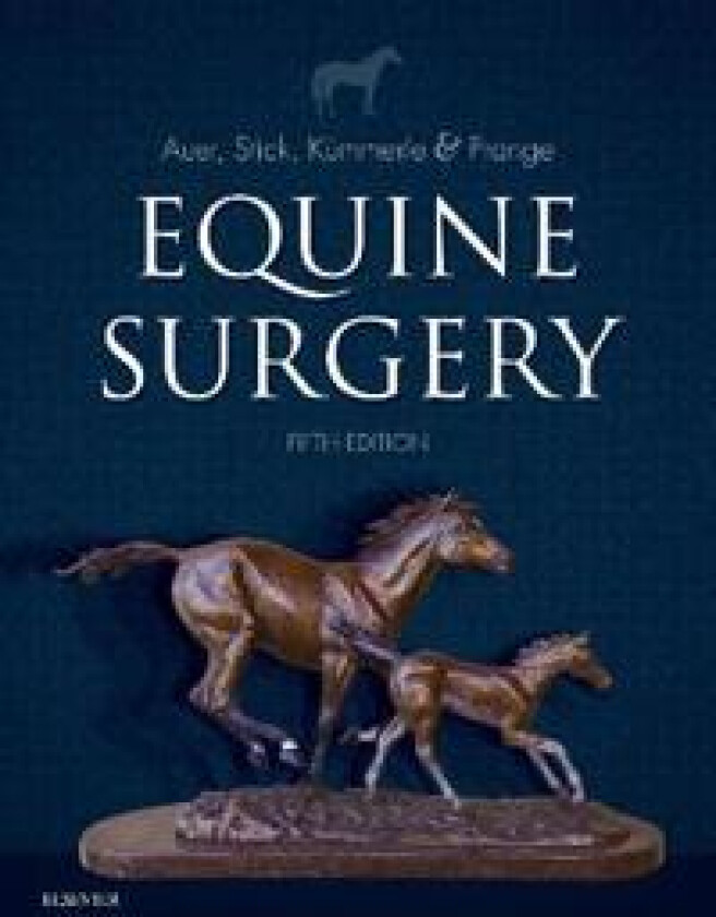 Equine Surgery