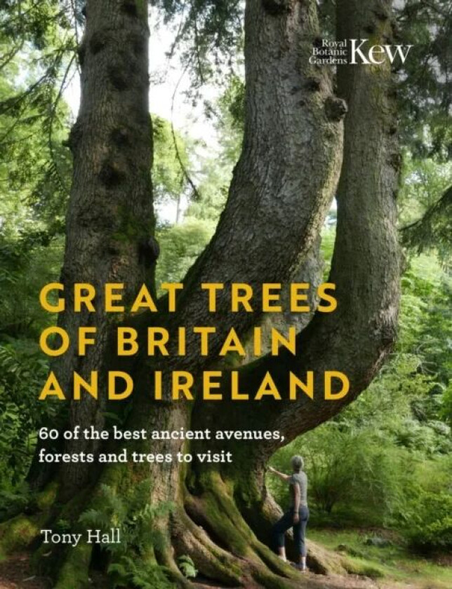 Great Trees of Britain and Ireland av Tony Hall