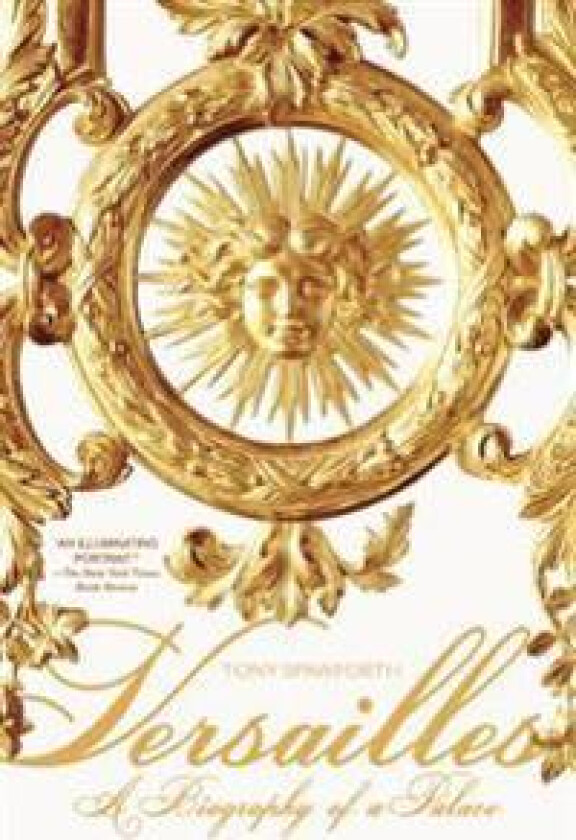 Versailles: A Biography of a Palace