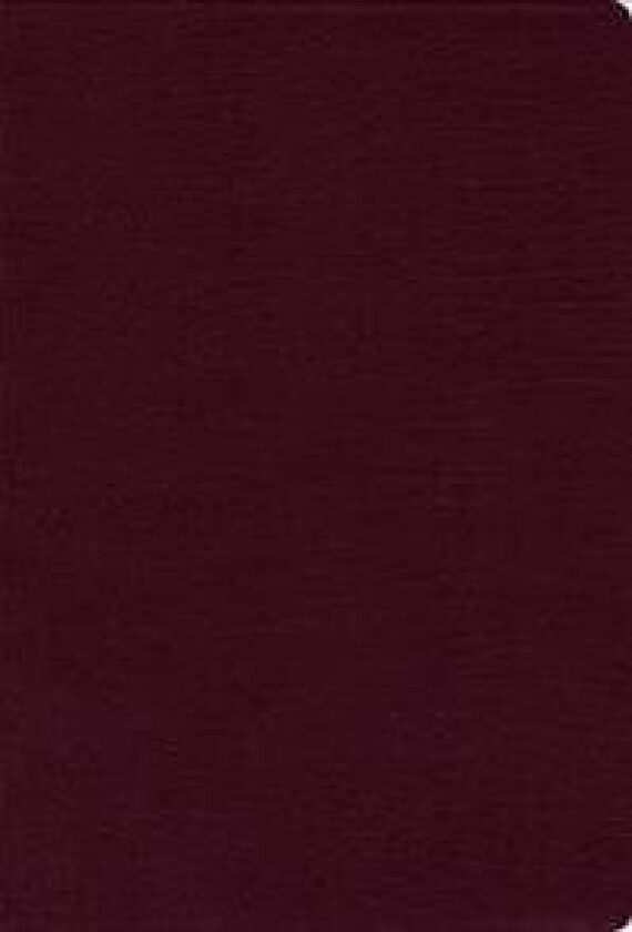 NIV, Thinline Bible, Bonded Leather, Burgundy, Red Letter Edition