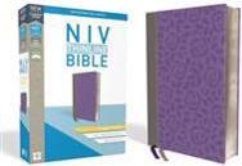 NIV, Thinline Bible, Giant Print, Imitation Leather, Gray/Purple, Red Letter Edition
