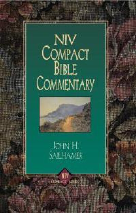 NIV Compact Bible Commentary
