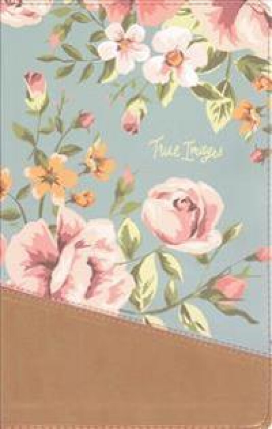 NIV, True Images Bible, Imitation Leather, Blue/Gold: The Bible for Teen Girls