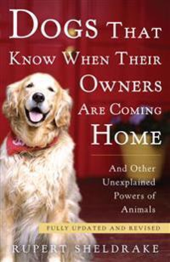 Dogs That Know When Their Owners Are Coming Home: And Other Unexplained Powers of Animals