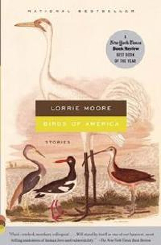 Birds of America: Stories
