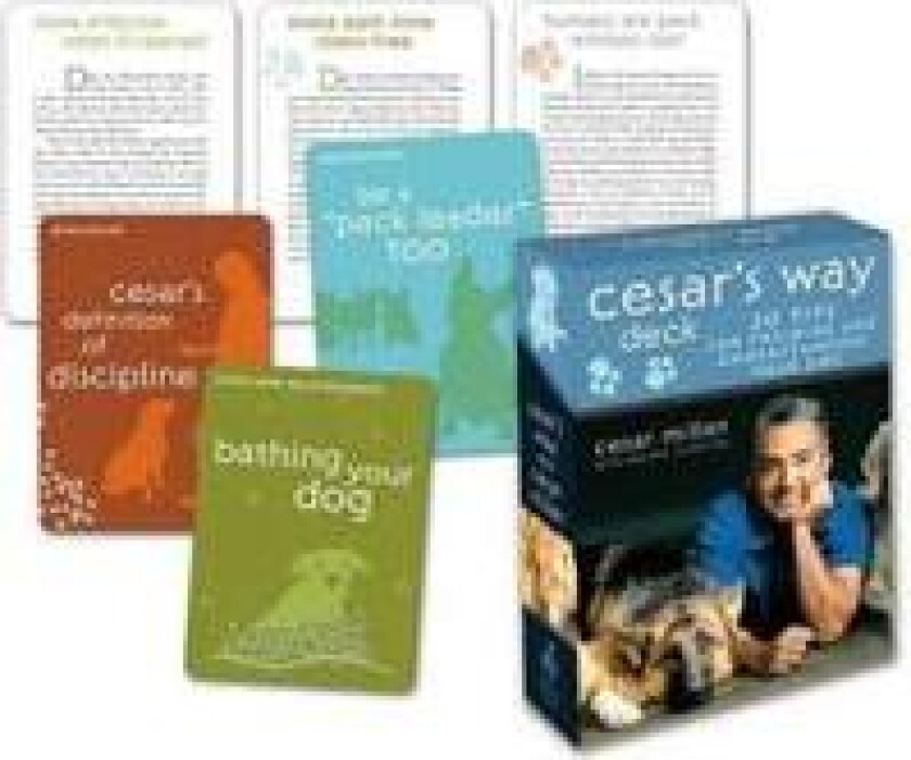 Cesar's Way Deck