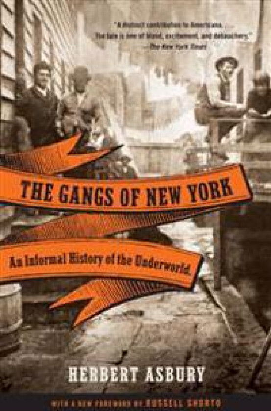 The Gangs of New York: An Informal History of the Underworld