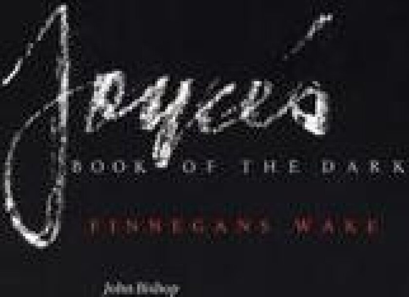 Joyce's Book of the Dark