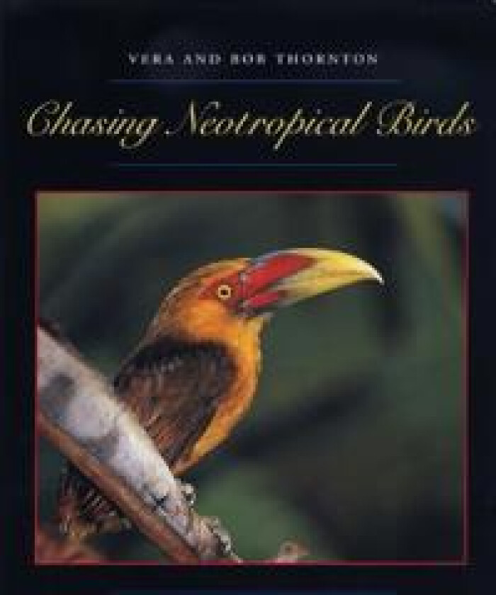 Chasing Neotropical Birds