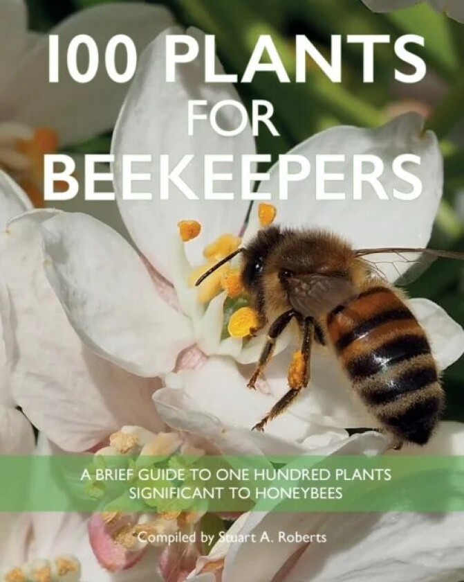 100 Plants for Beekeepers av Stuart Roberts
