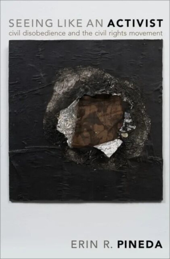 Seeing Like an Activist av Erin R. (Assistant Professor of Government Assistant Professor of Government Smith College) Pineda