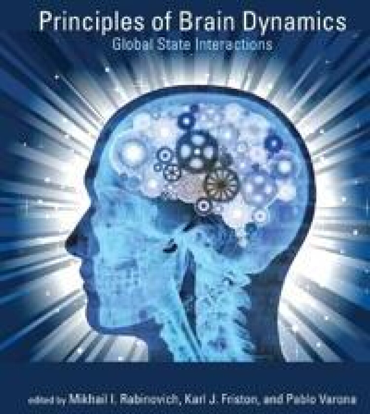 Principles of Brain Dynamics