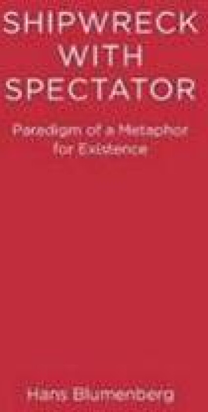 Shipwreck With Spectator