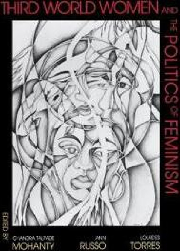 Third World Women and the Politics of Feminism