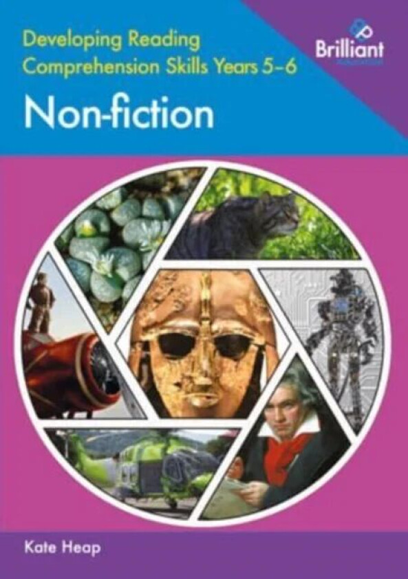 Developing Reading Comprehension Skills Years 5-6: Non-fiction av Kate Heap