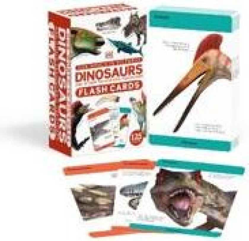 Our World in Pictures Dinosaurs and Other Prehistoric Creatures Flash Cards