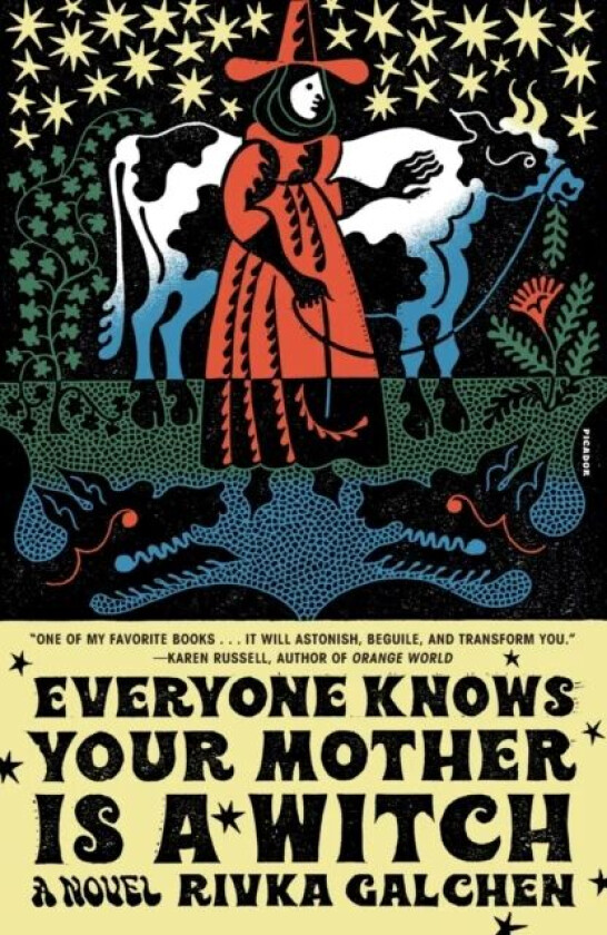 Everyone Knows Your Mother Is a Witch av Rivka Galchen