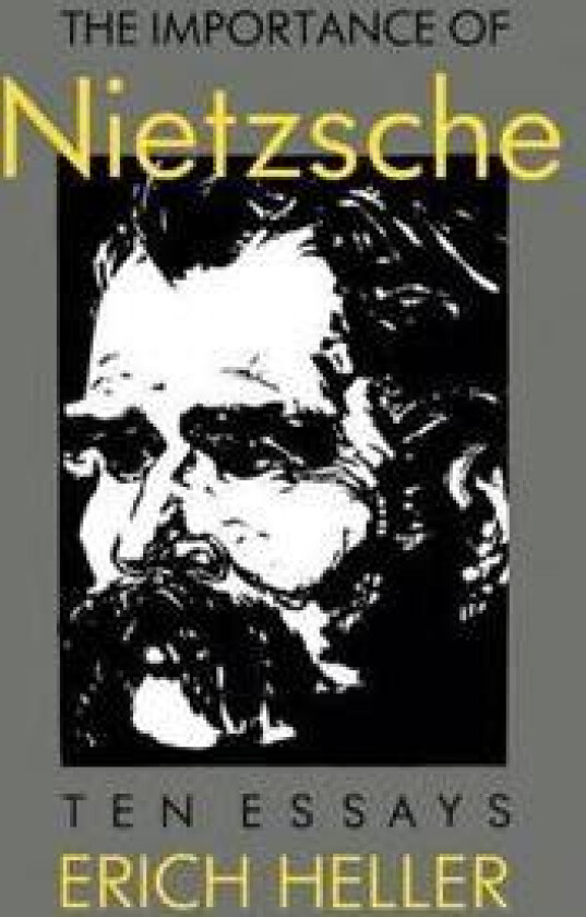 The Importance of Nietzsche