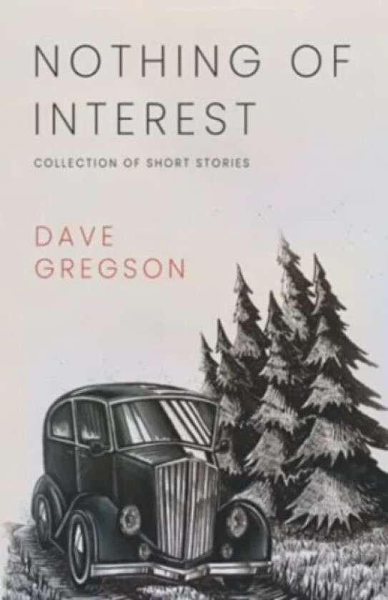 Nothing of Interest av Dave Gregson