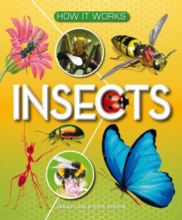 How It Works: Insects av Gerald Legg