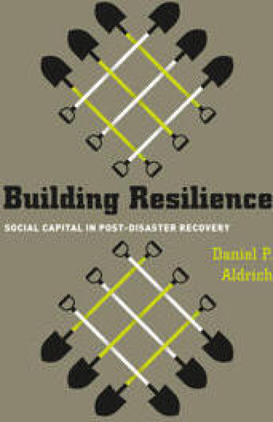 Building Resilience – Social Capital in Post–Disaster Recovery