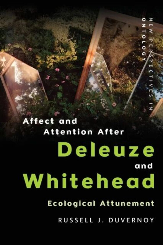 Affect and Attention After  Deleuze and Whitehead av Russell J. Duvernoy