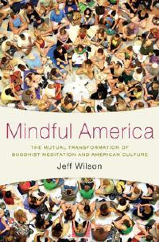 Mindful America