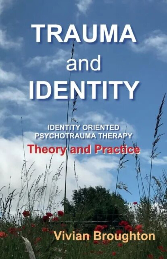 Trauma and Identity av Vivian Broughton