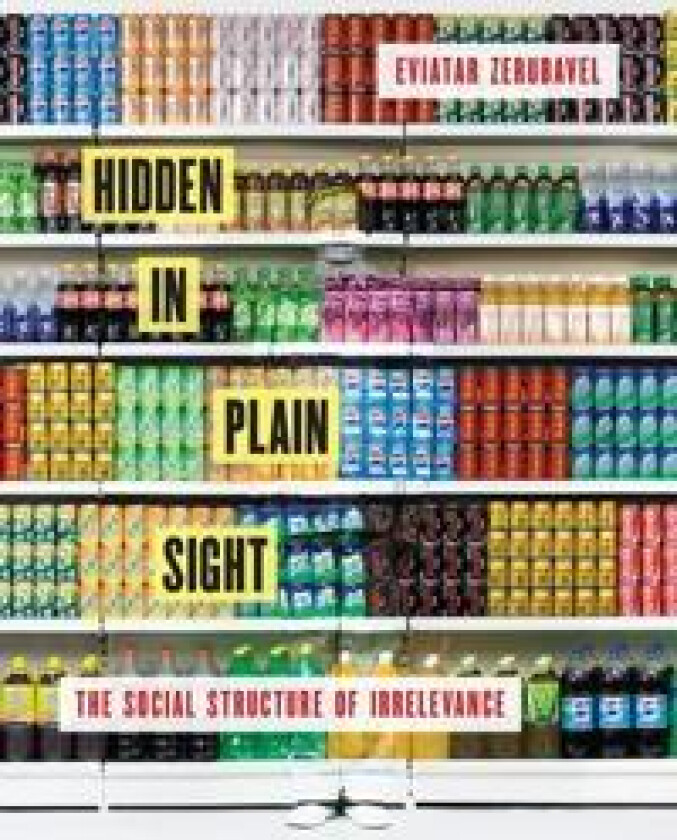 Hidden in Plain Sight